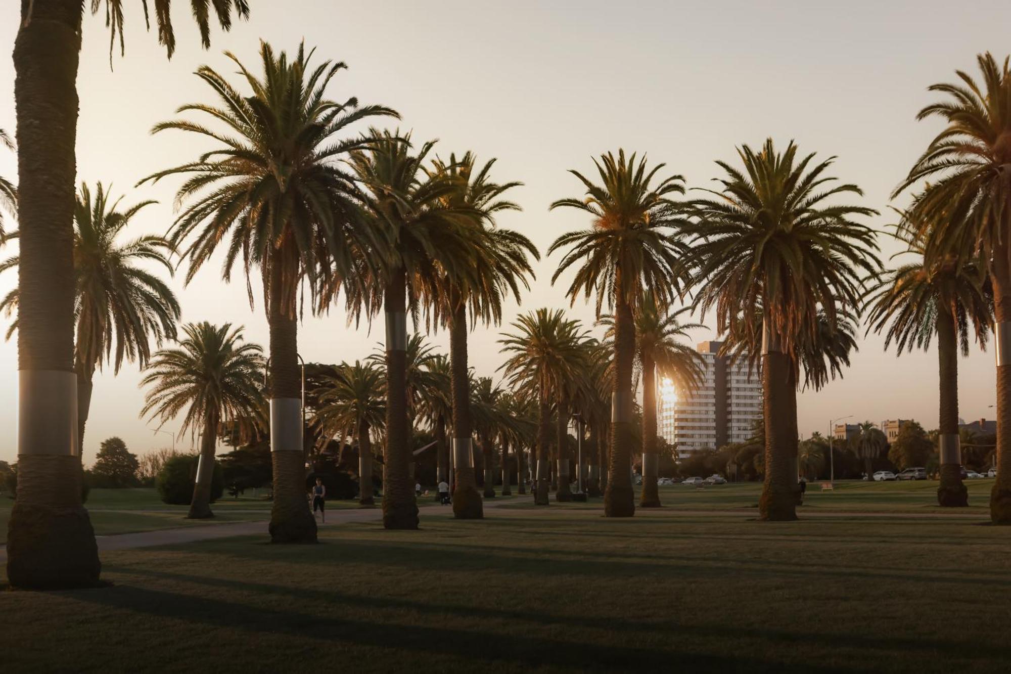 Mac St Kilda Blessington St By Melbourne Apartment Collection Exterior foto